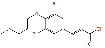 3,5-Dibromo-4-[3-(dimethylamino)-propoxy]cinnamic acid